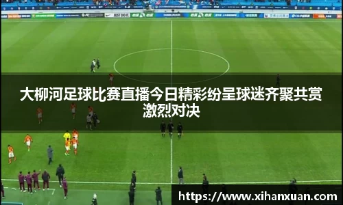 大柳河足球比赛直播今日精彩纷呈球迷齐聚共赏激烈对决