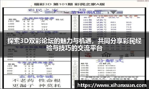 探索3D双彩论坛的魅力与机遇，共同分享彩民经验与技巧的交流平台