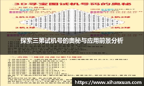探索三第试机号的奥秘与应用前景分析